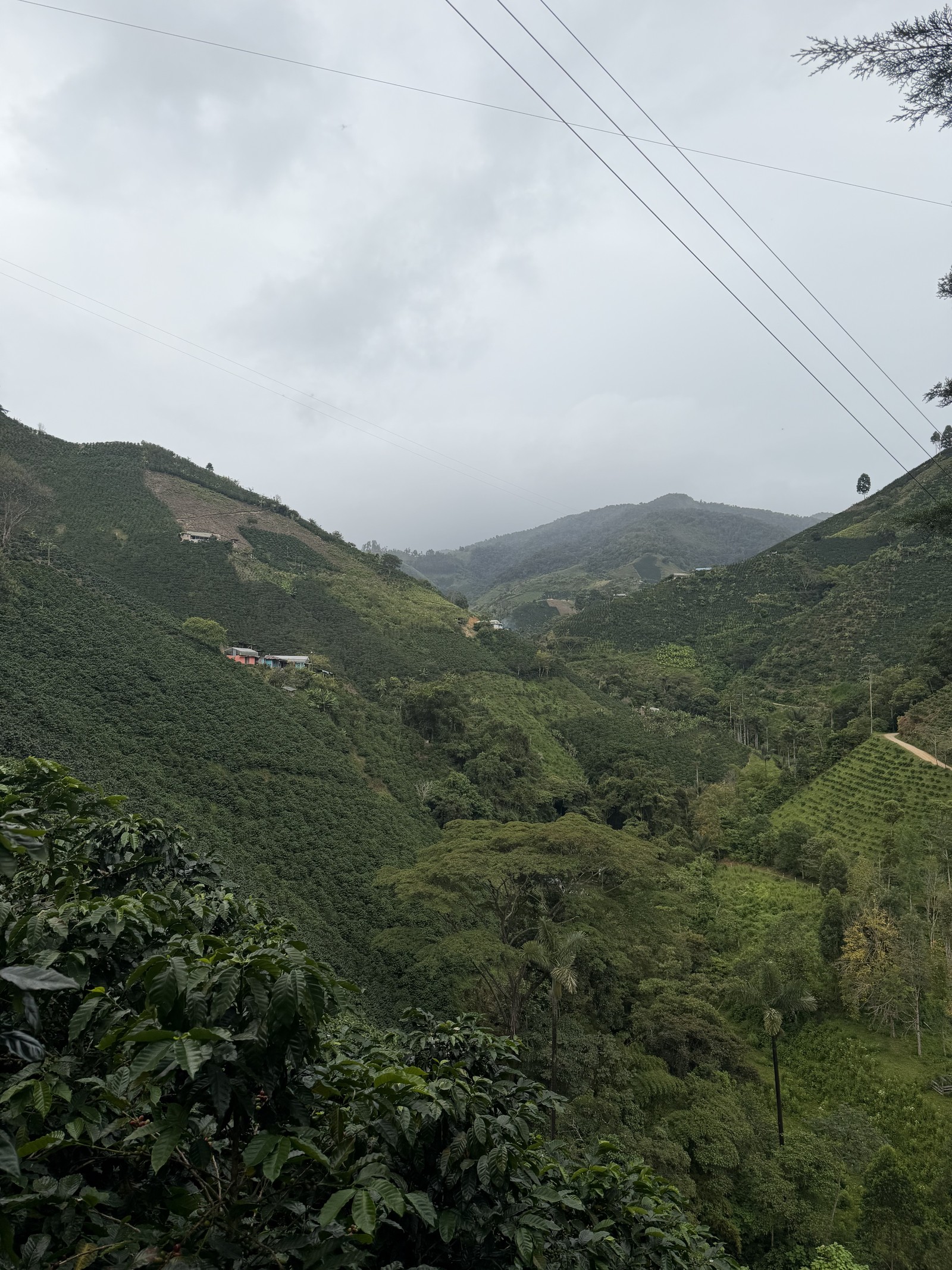 Vista panorámica de las montañas cafeteras de Guadalupe, Huila